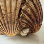 Load image into Gallery viewer, Vintage Handmade Shell Encrusted Table Lamp
