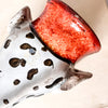 Antique Staffordshire Pottery Dalmatian Dog Head