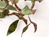 A Pair Of French Vintage Dark Green Leaf Wall Sconces