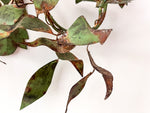 Load image into Gallery viewer, A Pair Of French Vintage Dark Green Leaf Wall Sconces
