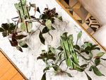 Load image into Gallery viewer, A Pair Of French Vintage Dark Green Leaf Wall Sconces
