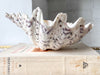 Vintage Clam Shell - Small