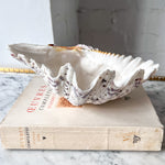 Load image into Gallery viewer, Vintage Clam Shell - Small
