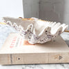 Vintage Clam Shell - Medium