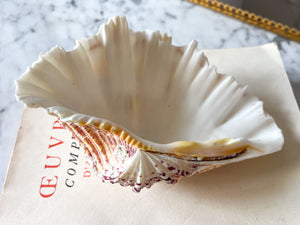 Vintage Clam Shell - Small