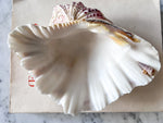 Load image into Gallery viewer, Vintage Clam Shell - Small
