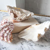 Vintage Clam Shell - Small