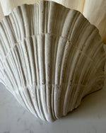 Load image into Gallery viewer, Pair of French Vintage Plaster Shell Wall Sconces
