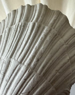 Load image into Gallery viewer, Pair of French Vintage Plaster Shell Wall Sconces
