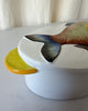Vintage Hand Painted Fish Dish With Lid By Radford