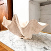Giant Plaster Clam Shell