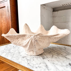 Giant Plaster Clam Shell
