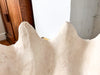 Giant Plaster Clam Shell