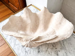 Load image into Gallery viewer, Giant Plaster Clam Shell
