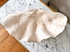 Giant Plaster Clam Shell