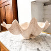 Giant Plaster Clam Shell