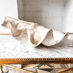 Load image into Gallery viewer, Very Large Vintage Clam Shell
