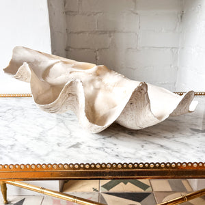 Very Large Vintage Clam Shell