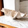 Very Large Vintage Clam Shell