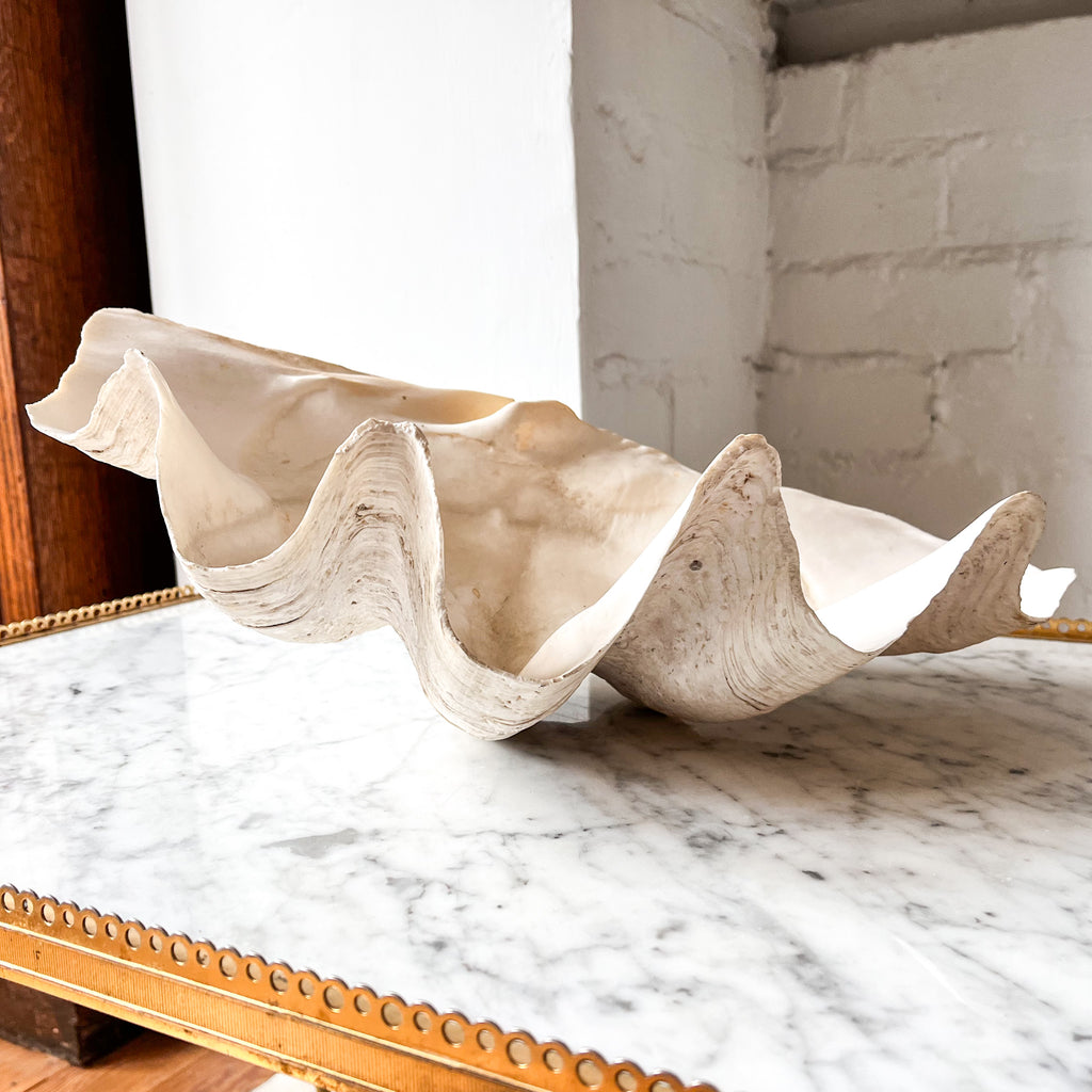 Very Large Vintage Clam Shell