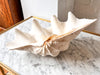 Very Large Vintage Clam Shell