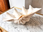 Load image into Gallery viewer, Very Large Vintage Clam Shell
