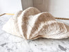 Very Large Vintage Clam Shell