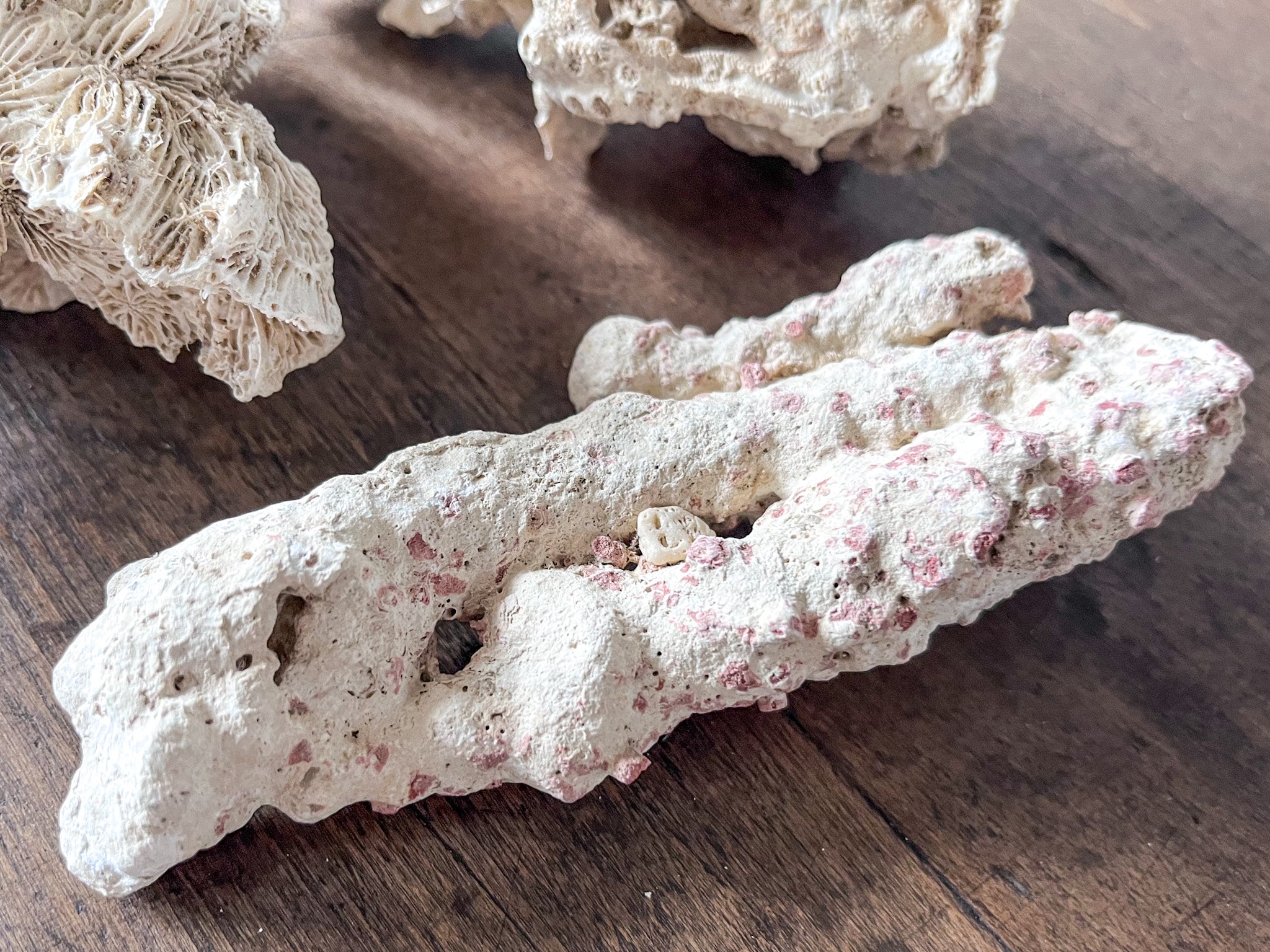 A Group Of Three Antique Coral Pieces