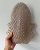 Mid-century Italian Murano Glass Leaf Wall Sconces In The Manner Of Barovier & Toso