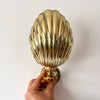 Brass Shell Sconce Uplighter / Downlighter