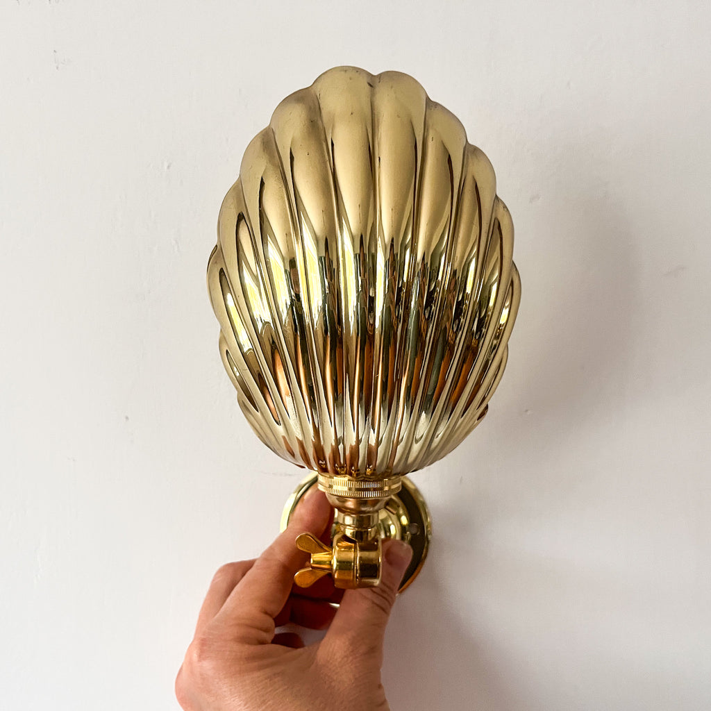 Brass Shell Sconce Uplighter / Downlighter