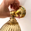 Brass Shell Sconce Uplighter / Downlighter