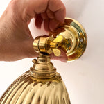 Load image into Gallery viewer, Brass Shell Sconce Uplighter / Downlighter
