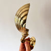 Brass Shell Sconce Uplighter / Downlighter