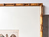 Antique Shell Print In Vintage Faux Bamboo Frame