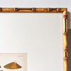 Antique Shell Print In Vintage Faux Bamboo Frame
