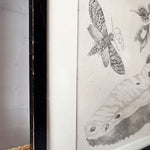 Load image into Gallery viewer, Antique Framed Botanical Print
