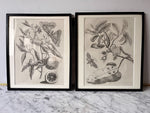 Load image into Gallery viewer, Antique Framed Botanical Print
