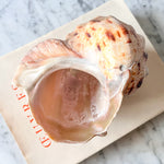 Load image into Gallery viewer, Vintage Pearl Conch Shell
