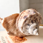 Load image into Gallery viewer, Vintage Pearl Conch Shell
