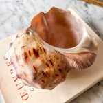 Load image into Gallery viewer, Vintage Pearl Conch Shell
