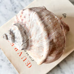 Load image into Gallery viewer, Vintage Pearl Conch Shell
