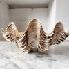 Large Vintage Clam Shell
