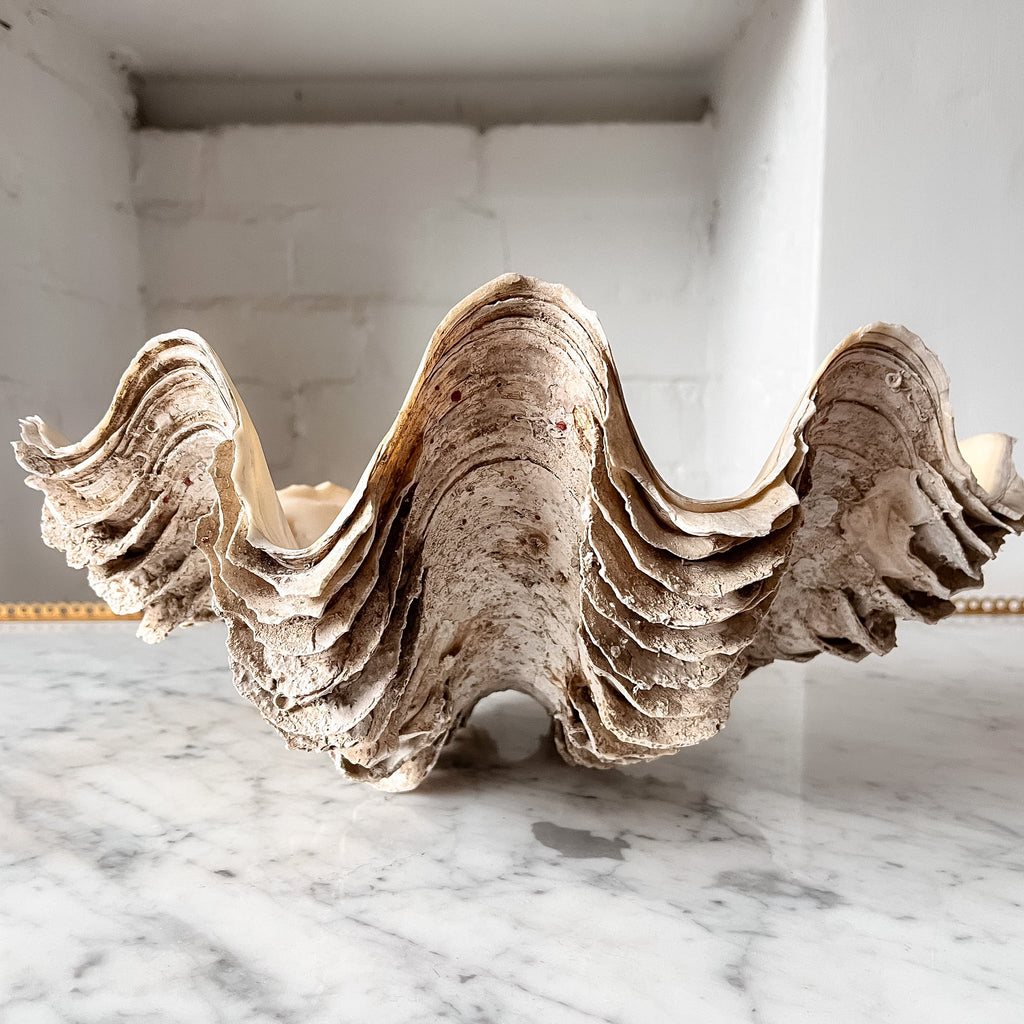 Large Vintage Clam Shell
