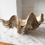 Load image into Gallery viewer, Large Vintage Clam Shell
