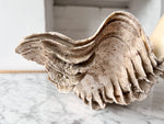 Load image into Gallery viewer, Large Vintage Clam Shell
