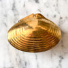 Vintage Brass Miniature Clam Shell Trinket Box
