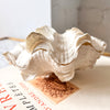 RESERVED - Vintage Double Clam Shell