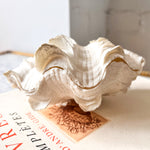 Load image into Gallery viewer, RESERVED - Vintage Double Clam Shell
