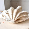 RESERVED - Vintage Double Clam Shell